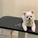 순독살롱 이미지