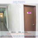 카멜리아호텔 | 페낭 호텔 추천: 호텔 카멜리아 솔직 후기! 가성비 끝판왕?