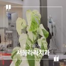 세림치과의원 네이버블로그