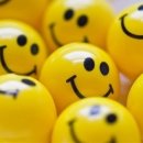 복덩이네 강아지 이미지