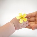 가가스튜디오 이미지