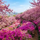 완산공원(아래) 이미지