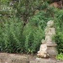 자하문호텔 이미지