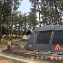 행정용 28번 | 강원도 고성 자작도 캠핑장 명당 명당 및 송진가루 솔직후기 (예약/가격/꿀팁)