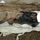 의곡2리 이미지