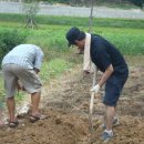 월평농장 이미지