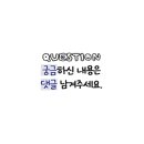 여기꿀템