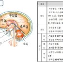 스포츠지도사 2급 - 운동생리학 이미지