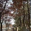 보문호반길 이미지