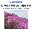시량2리 마을회관 | 강화도 고려산 등산코스 청련사 후기, 진달래 사진만 보고 가면 실망합니다!