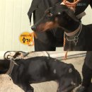 승기농장 이미지