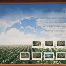 신풍동 주민센터 이미지