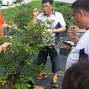 김재명농장 이미지