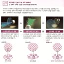 한국호야렌즈㈜ | [부산 마이스터안경] 수직 난시와 높은 가입도에 편안한 호야 누진다초점렌즈 발란시스