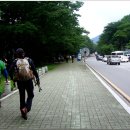 소락 이미지