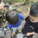 5월 셋째주 생태놀이(올챙이, 개구리 관찰하기/봄 긴 나들이 /북 치기 놀이/낙엽 작품 만들기/물총놀이/봄비 맞으며 걷기/흙동산 놀이) 이미지