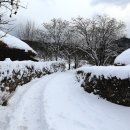 외암마을 이미지