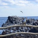 독라이프 이미지