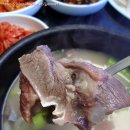 안동소머리곰탕 Daum카페