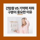 웰스시