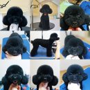 랄라펫살롱 이미지