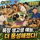 석진육성우목장 | 🐮 젖소 탈출부터 문상훈 인턴 합류까지! tvN 〈콩콩팜팜〉 2화 리뷰