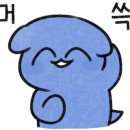 수미바지락손칼국수