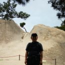 신비의소나무 앞 이미지