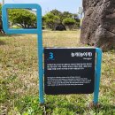 제주 올레길 3코스 B 이미지