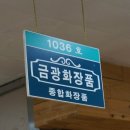 금광화장품