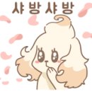 패밀리독 이미지