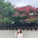 어진박물관 이미지