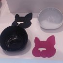 애견부티크 이미지