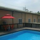 힐링독아카데미 이미지