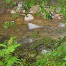 동서 공인중개사무소 이미지