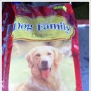 엄마손 동물병원 이미지