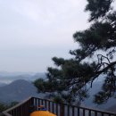 비비디자인