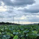 안심창조밸리 천천둘레길 이미지