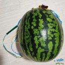 노란마켓인계 | 2024년 6월 노랗게 물든 홍보 효과가 결실을 맺다
