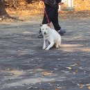 보배어린이공원 이미지