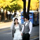 아이리스 이미지