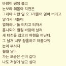 이기대의 풀꽃나무...나홀로탐방91 이미지