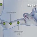 소리보청기신대방