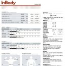 바디스토리짐 이미지