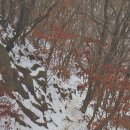 도봉탐방지원센터 이미지