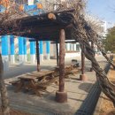 동해시립북삼도서관 | [도서관 탐방] 2024. 1. 동해시립 북삼도서관