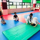 용인대다옴태권도장 이미지