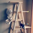 캣 팰리스 이미지