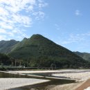 주문1리 이미지