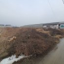 성진축사 이미지